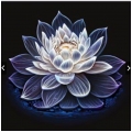 EA White Lotus V2.1 MT4 - UNLIMITED VERSION